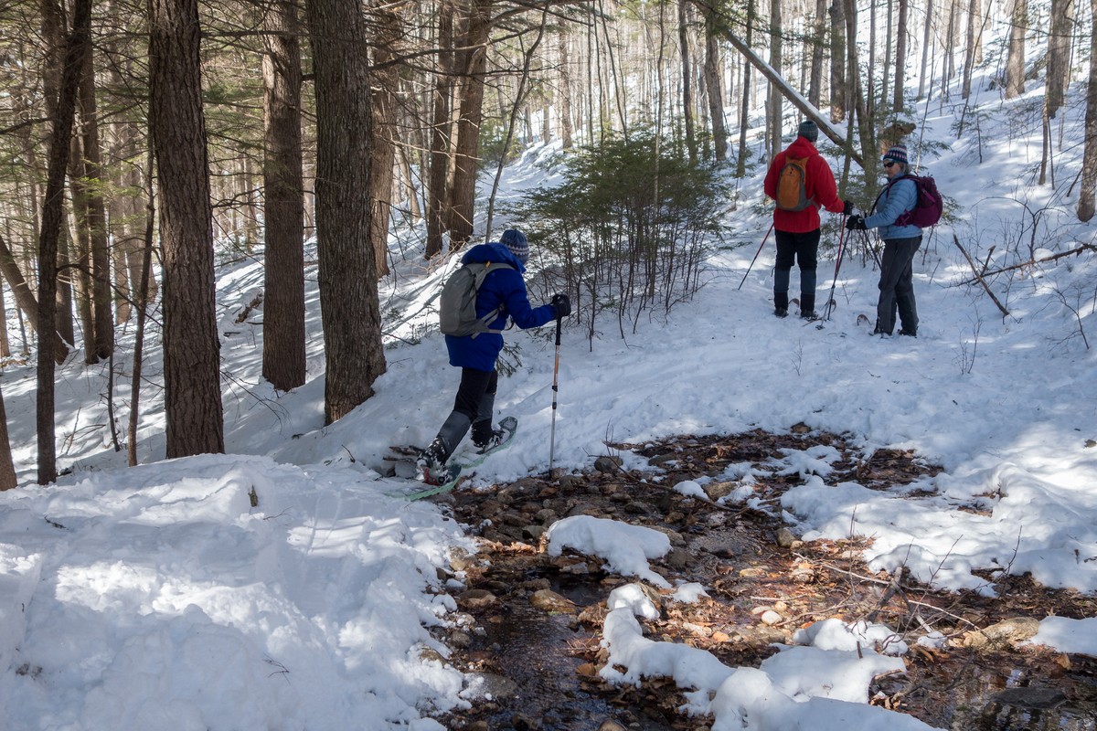 Joyce, Fred, and Moe.<br />Hike to the beaver ponds along the Brown Ash Swamp Bike Trail.<br />March 17, 2018 - Waterville Valley, New Hampshire.