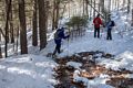 Joyce, Fred, and Moe.<br />Hike to the beaver ponds along the Brown Ash Swamp Bike Trail.<br />March 17, 2018 - Waterville Valley, New Hampshire.