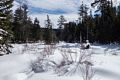 Hike to Atwood Pond along the Historic Sandwich Notch Road.<br />March 18, 2018 - Thornton/Sandwich, New Hampshire.