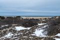 Along Dunes Walk at Hellcat Swamp.<br />March 21, 2018 - Parker River National Wildlife Refuge, Plum Island, Massachusetts.