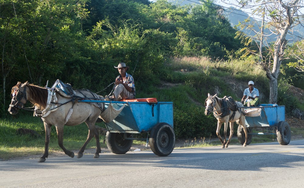 Horse drawn wagons.<br />Nov. 2, 2016 - El Cobre, Cuba.