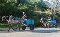 Horse drawn wagons.<br />Nov. 2, 2016 - El Cobre, Cuba.