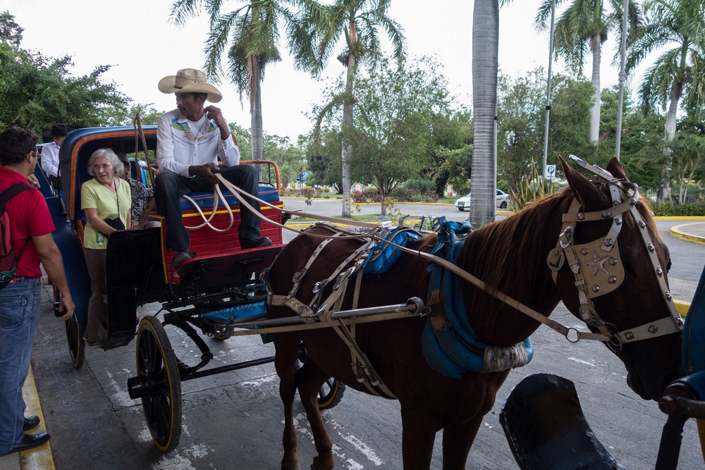Joyce at start of our carriage ride.<br />Nov. 2, 2016 - Bayamo, Cuba.
