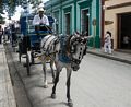 The carriages dropped us off at a corner of Parque Cespedes.<br />Nov. 2, 2016 - Bayamo, Cuba.