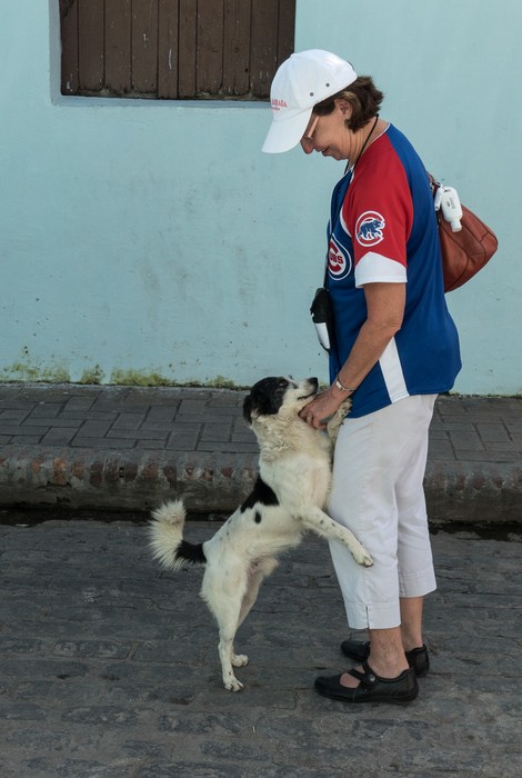 Terry with a very friendly dog.<br />We saw this dog all over town.<br />Nov. 3, 2016 - Camag�ey, Cuba.