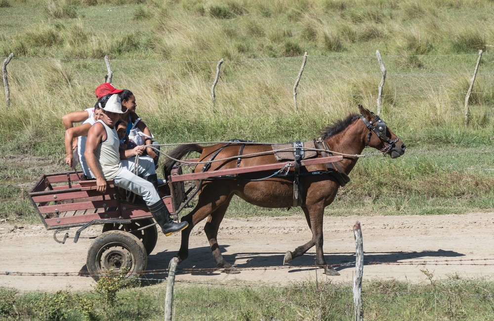 Traffic on road next to the rodeo.<br />Nov. 4, 2016 - Rancho King, Camag�ey, Cuba.