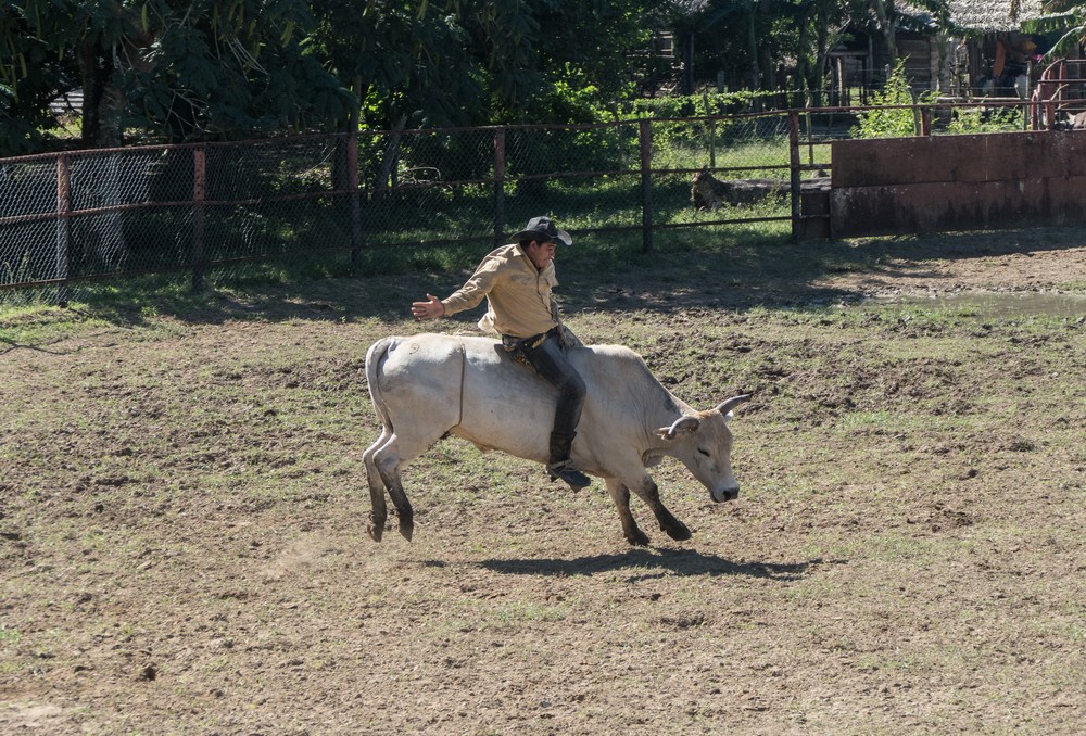 Bull riding.<br />Nov. 4, 2016 - Rancho King, Camag�ey, Cuba.