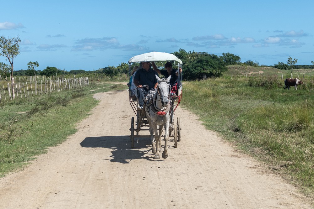On way to local woman's house.<br />Nov. 4, 2016 - Rancho King, Camag�ey, Cuba.