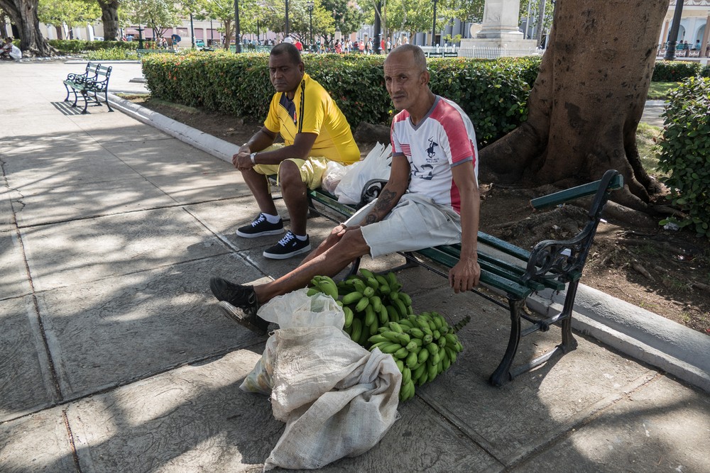 Banana venfors.<br />Nov. 6, 2016 - Plaza de Armas, Cienfuegos, Cuba.