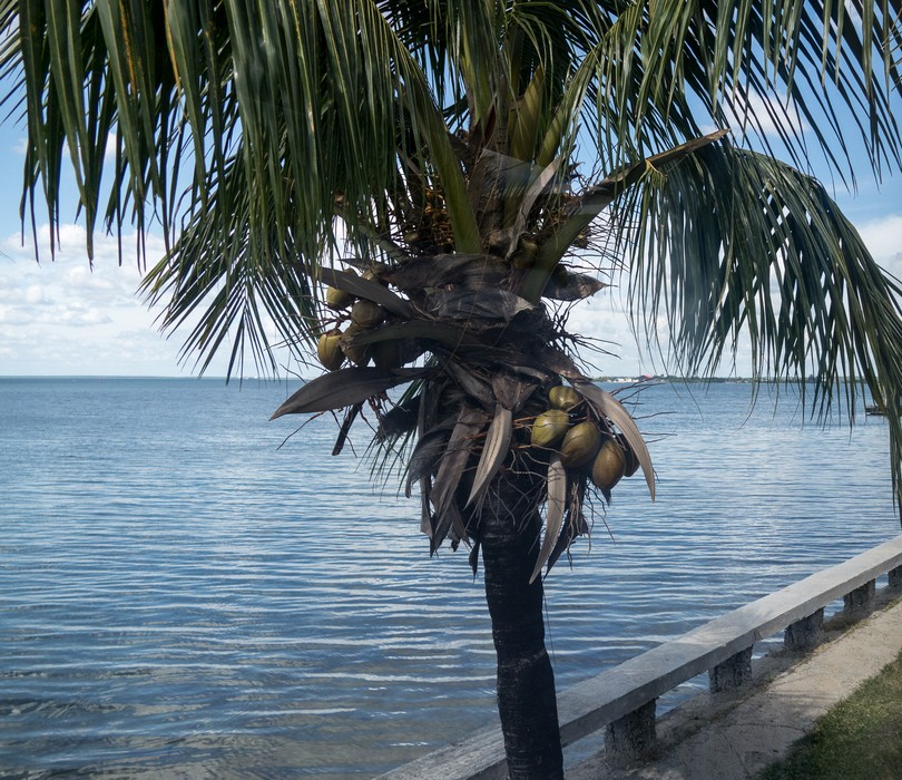 Nov. 6, 2016 - Cienfuegos, Cuba.