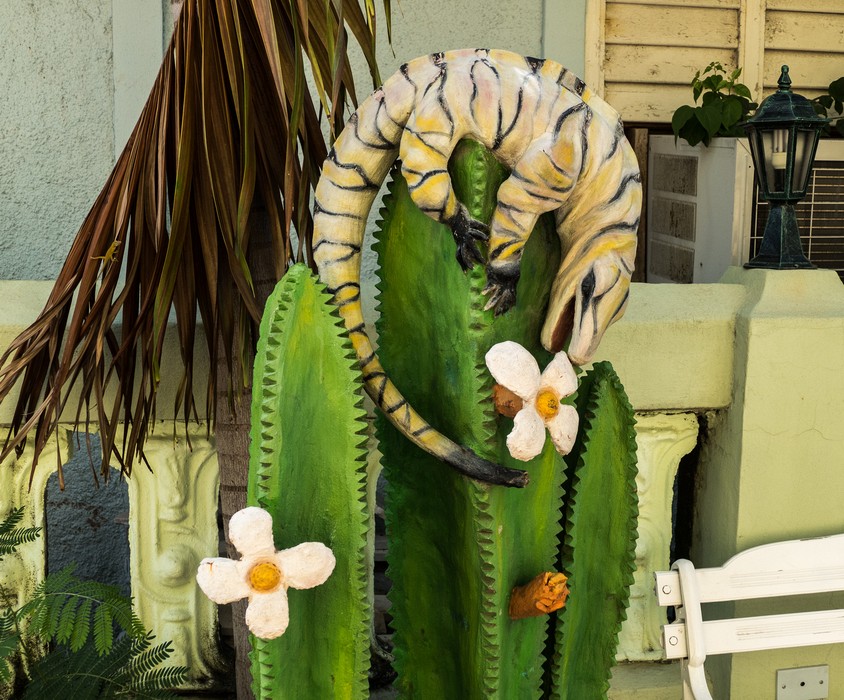 Lunch at Villa Lagarto.<br />Nov. 6, 2016 - Punta Gorda, Cienfuegos, Cuba.