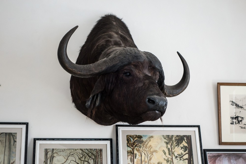 Ernest Hamingway's home in Cuba: Finca la Vigia.<br />Nov. 9, 2016 - San Francisco de Paula, Havana, Cuba