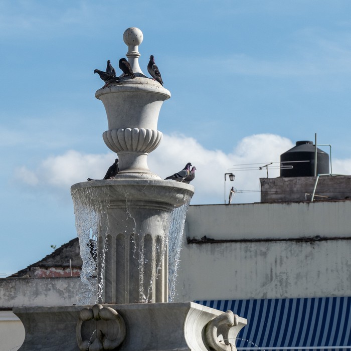 Fountain with pigeos.<br />Nov. 10, 2016 - Plaza Vieja, Havana, Cuba.